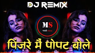 Pinjre Mai Popat Bole  पिंजरे मैं पोपट बोले  Dj Remix Song  Pinjre Mai Popat Bole Dj Song [upl. by Neyr]