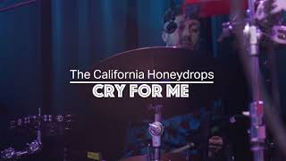 The California Honeydrops  Cry For Me Live From Lincoln Hall [upl. by Urina]