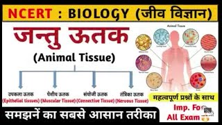 जंतु ऊतक। Animal tissue in hindi । jantu utak । Biology ।competition only । महत्वपूर्ण ऊतक [upl. by Weinert852]