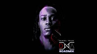 Mical Teja  DNA Official NMG Road Mix [upl. by Aennaej]