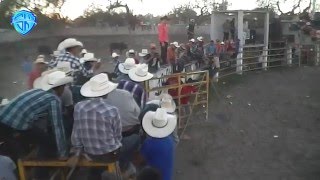 JARIPEO POTOSINO CORCOVADA 2016 [upl. by Torey]