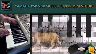 Bisquit  Zoo Zoo Dance Remix 2018 создан created на синтезаторе Yamaha PSRS970 [upl. by Haidabez168]