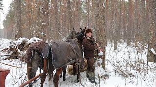 Spotkałem Myśliwych  odcinek 382 Saniami na polowanie [upl. by Aimil508]