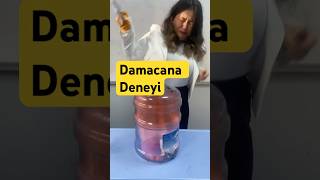 Damacana deneyi açık hava basıncı  basınç [upl. by Nnaihs]