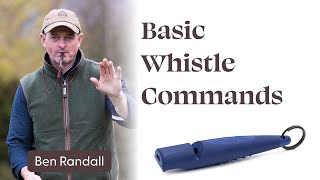 Basic Whistle Commands [upl. by Brill]