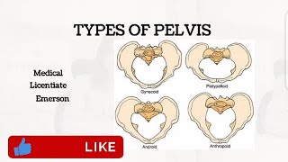 Types of Pelvis  Obstetrics Lecture [upl. by Davena]