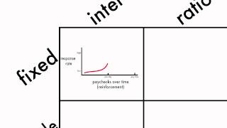 Learning Schedules of Reinforcement [upl. by Gracie]