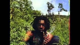 Peter Tosh  Why must I cry [upl. by Gilberto]