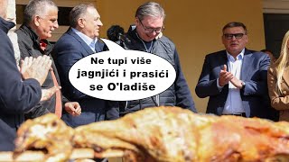 Mile izneo prasiće u Pambukovici 😄 [upl. by Neyr752]