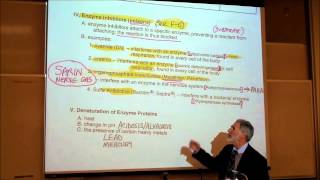 BIOLOGY METABOLIC REACTIONS PART 3 ENZYME INHIBITORS by Professor Finkwmv [upl. by Miranda]