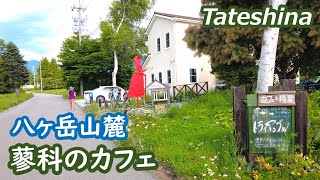 八ヶ岳山麓、蓼科のカフェ・ハーブショップ・八ヶ岳クラフト市を巡る yatugatake chino Nagano Japan｜シニア・長野移住ライフ｜田舎暮らし vlog 127 [upl. by Eniahpets]