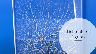 EBEAM Crash Course Lichtenberg Figures Beginner Level [upl. by Tiduj]