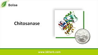 Where to buy ChitosanaseGlycoside hydrolases Suppliers and Sales [upl. by Oiram]