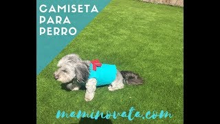 Como hacer una camisa para perro [upl. by Rosa202]