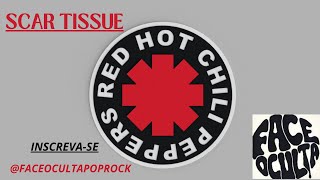 RED HOT CHILI PEPPERS  SCAR TISSUE [upl. by Alhak]