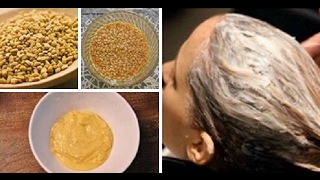 DIY Fenugreek Seeds Hair Mask For ThinDry and Damaged Hair  CHATURYABLOGGER [upl. by Johan]