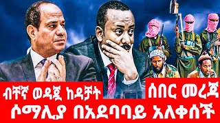 ሶማሊያ በአደባባይ አለቀሰች ብቸኛ ወዳጇ ከዳቻት [upl. by Nyret904]