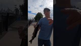 Waukegan Harbor fishing salmon lakemichigan shorts fishingtips motivate motivationalvideo ya [upl. by Shapiro946]