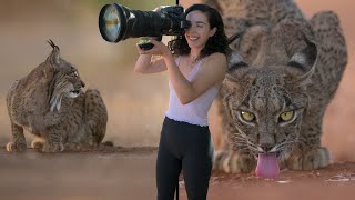 INCREDIBLE WILDLIFE ENCOUNTER Filming the elusive Iberian lynx from a Photography Hide in Spain [upl. by Arika48]