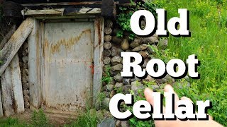 Our 1920s Root Cellar [upl. by Zile160]