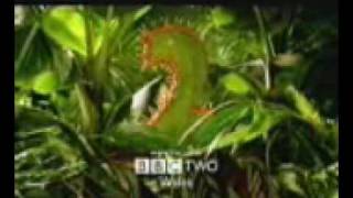 BBC 2 Predator Wales Ident [upl. by Hector]