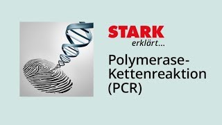 PCR – PolymeraseKettenreaktion  STARK erklärt [upl. by Rovelli631]