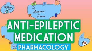 Epilepsy pharmacology  Soton Brain Hub [upl. by Kariv]