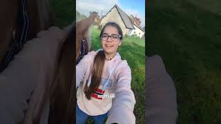 Vlog achat poney 💗 cheval horse poney equestrian [upl. by Nohsreg]