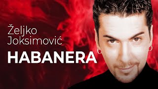 Željko Joksimović  Habanera Official Music Audio 1999 [upl. by Asseram]