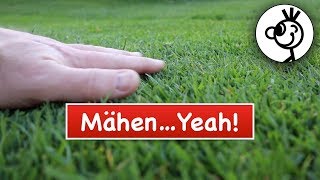 ENDLICH richtig RASEN MÄHEN  Spindelmäher YEAH [upl. by Ashby]