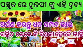 ପଞ୍ଚୁକ ରେ ତୁଳସୀ ଙ୍କୁ ଏହି ଦ୍ରବ୍ଯ ଅର୍ପଣ କରନ୍ତୁ ଧନ ସମ୍ପଦ ଲାଭ କରିବେ  Panchuka re Tulasi nku Ehi Drabya [upl. by Reeves]