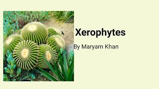 Xerophytes [upl. by Marelda]