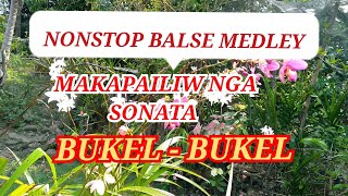 NONSTOP ILOCANO MEDLEY BALSE ABALAYANBUKEL  BUKEL [upl. by Lyn]