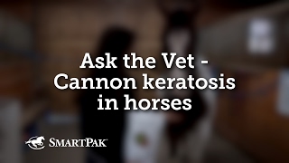 Ask the Vet  Cannon keratosis in horses [upl. by Harvard]