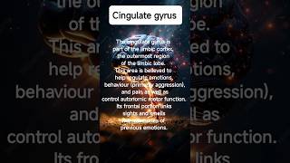 Cingulate gyrus part of limbic system of braingk shortsmedicalgeneralknowledgebraingkquizexam [upl. by Tcideneb]