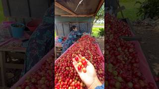 ✨Roadside of Sri Lanka 🇱🇰  Happy lady  srilankan fruit🌼✨ [upl. by Baldridge]