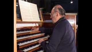 The Great Organ of the Esztergom Basilica [upl. by Tildy]