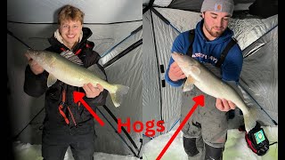 Lake Winnipeg Walleye SLAM [upl. by Machute]