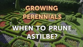 When to Prune Astilbe [upl. by Austin]