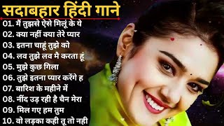 Sadabhar songs ❤️ Hindi Songs 💕 udit narayan songs  90s Music Diaries  90sMusicDiaries [upl. by Adabelle324]