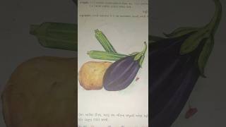 Vegetable 🍆 drawing in water colour 🖌️ shorts vegetables drawing youtubeshorts [upl. by Fennie]