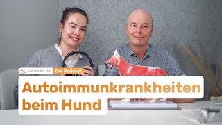 Autoimmunkrankheiten bei Hunden [upl. by Pulchia]