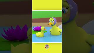 Five Little Duck Song 🦆 cancionesparaniños nurseryrhymes shorts kidssongs [upl. by Vanna]