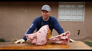 HOW TO CLEAN THE SKULL OF A 600 POUND PIG [upl. by Nored]