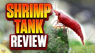 Is This The Best AllInOne Shrimp Tank On The Market Aquael Shrimp Set Review [upl. by Nissensohn]