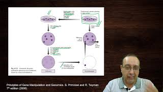 Screening Genomic DNA and cDNA Libraries  Genomics [upl. by Calabresi]