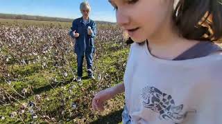 Frogmore Plantation tour Louisiana January 2024 with kids [upl. by Hartmann]