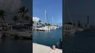 Sunny Key West scenery keywest marina [upl. by Irrahs683]