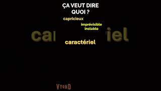 Être CARACTÉRIEL Vocabulaire en français facile learnfrench [upl. by Mauralia]