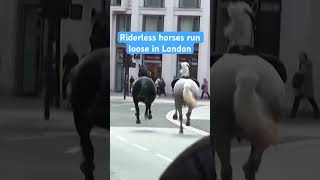 Riderless horses recovered after running loose through London several people injured shorts [upl. by Joachima536]